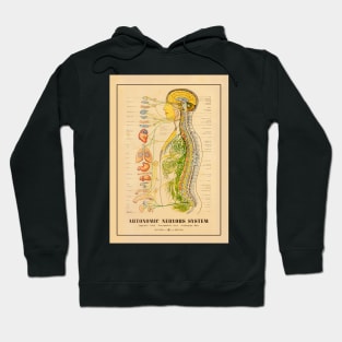 Nervous System, Medical Chart, Skeleton Print, Doctor Chart Hoodie